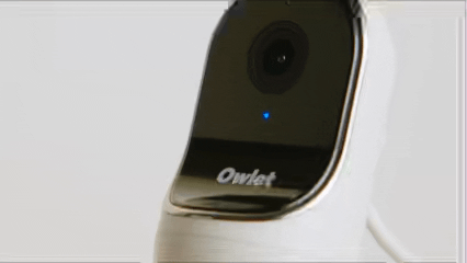 image1.gif
