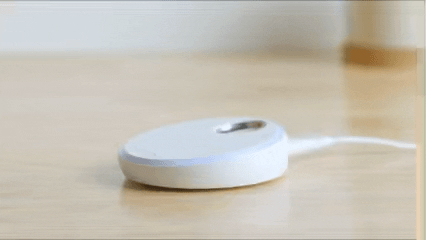 image1.gif