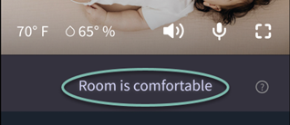 Room_is_comfortable_cam_page_view_sm.png