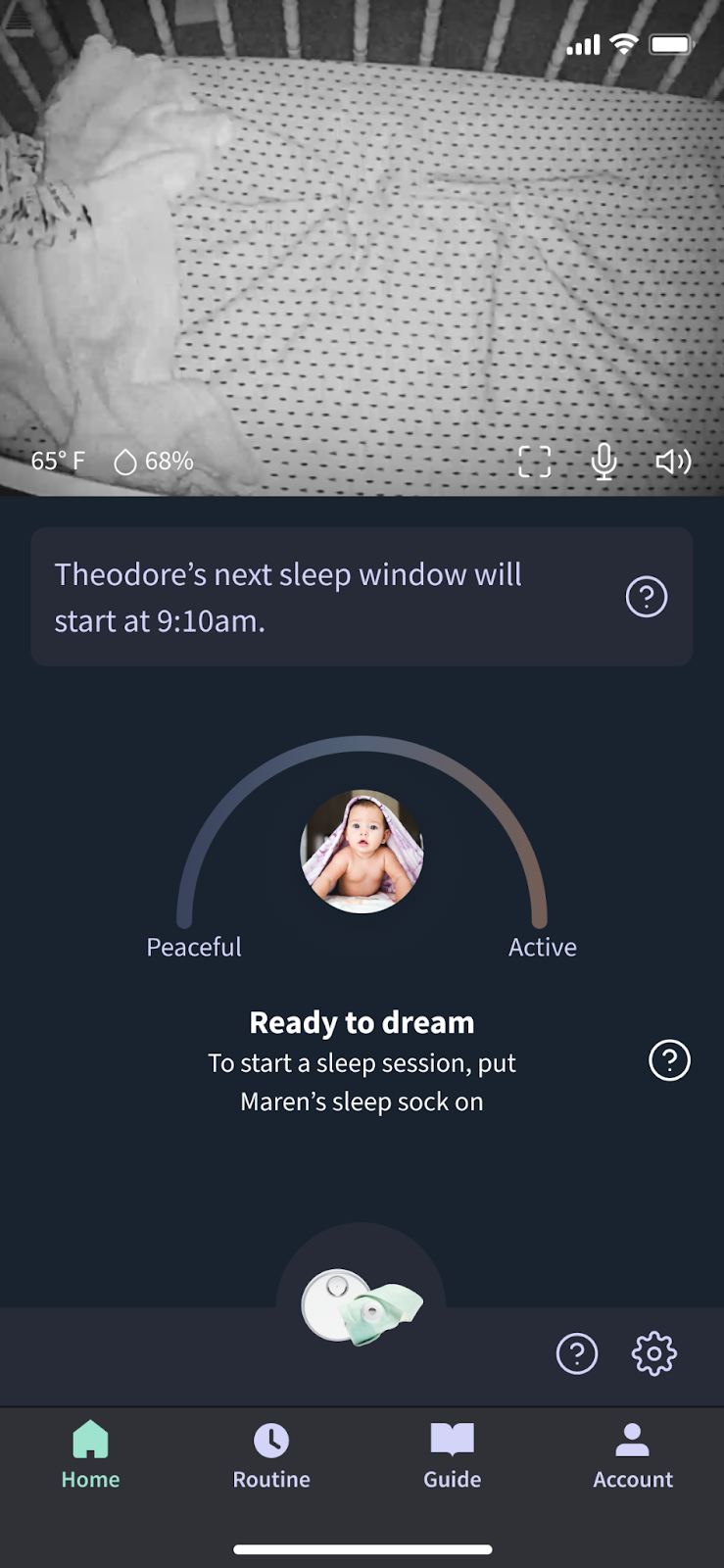 Owlet store sleep quality